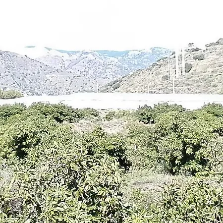 Hébergement de vacances Casa Pino *