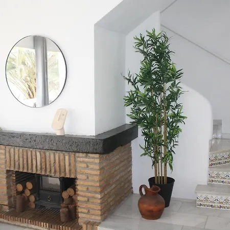 Apartment Casa Pino *